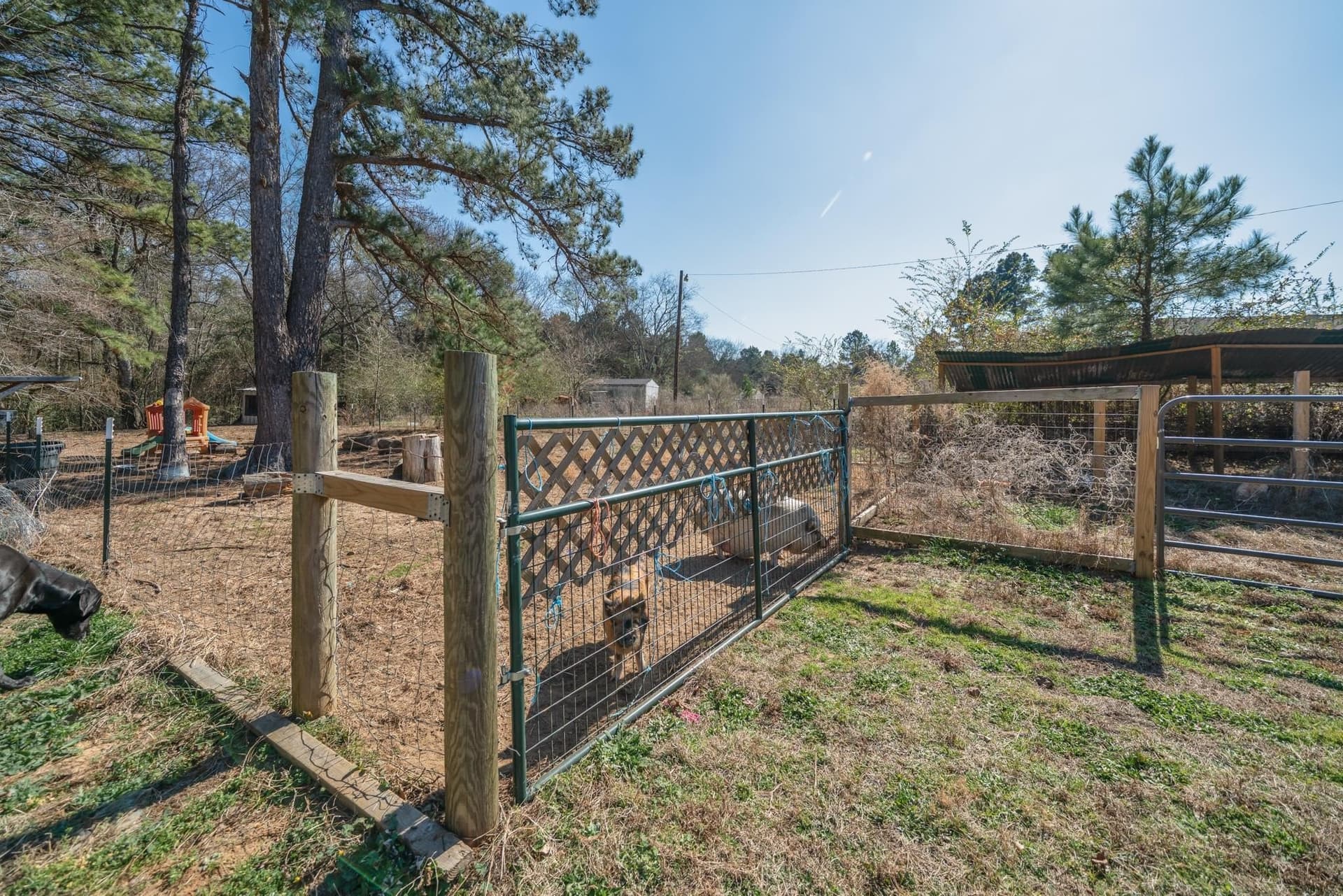 11 acres in Harrison County - photo 25