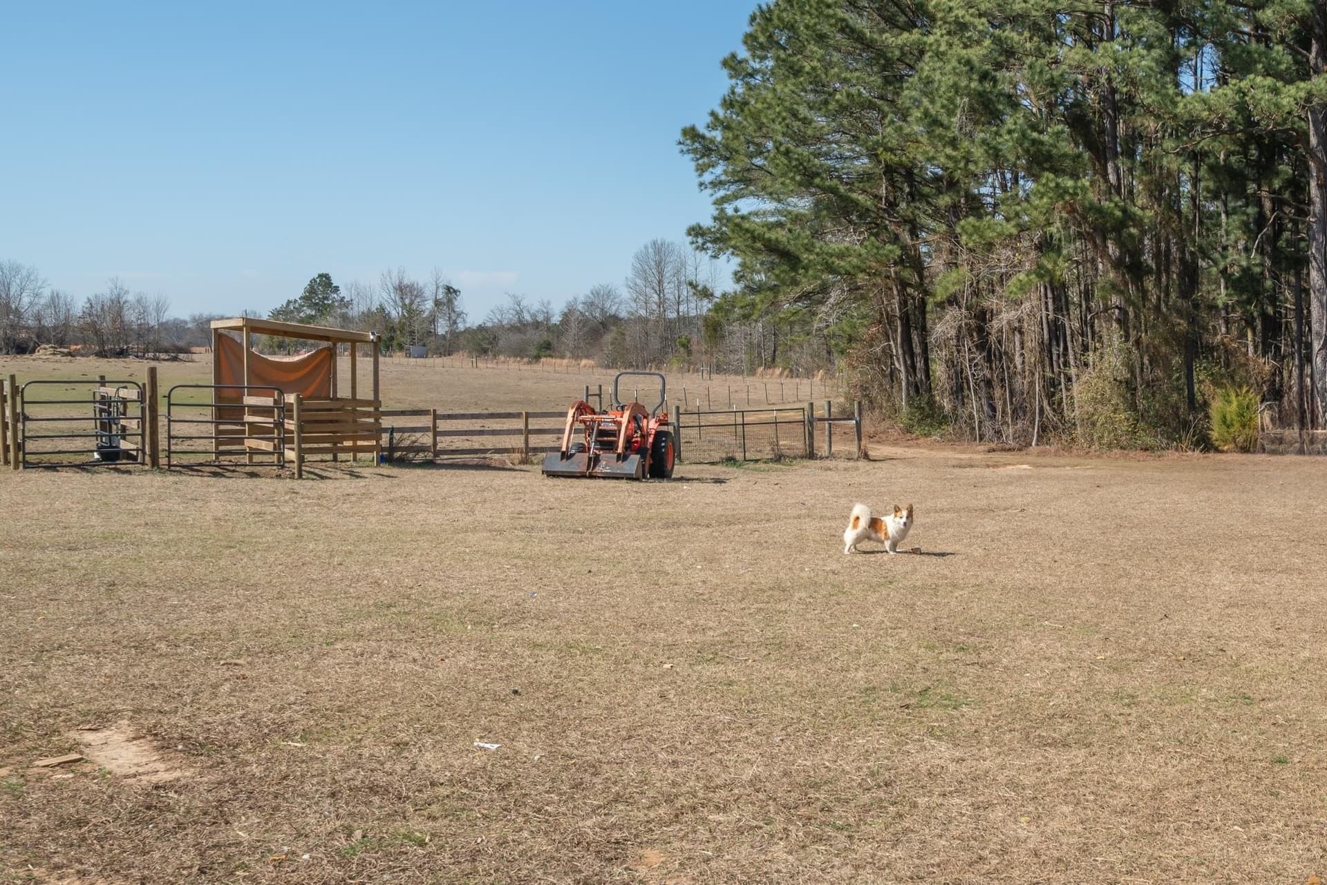 11 acres in Harrison County - photo 24