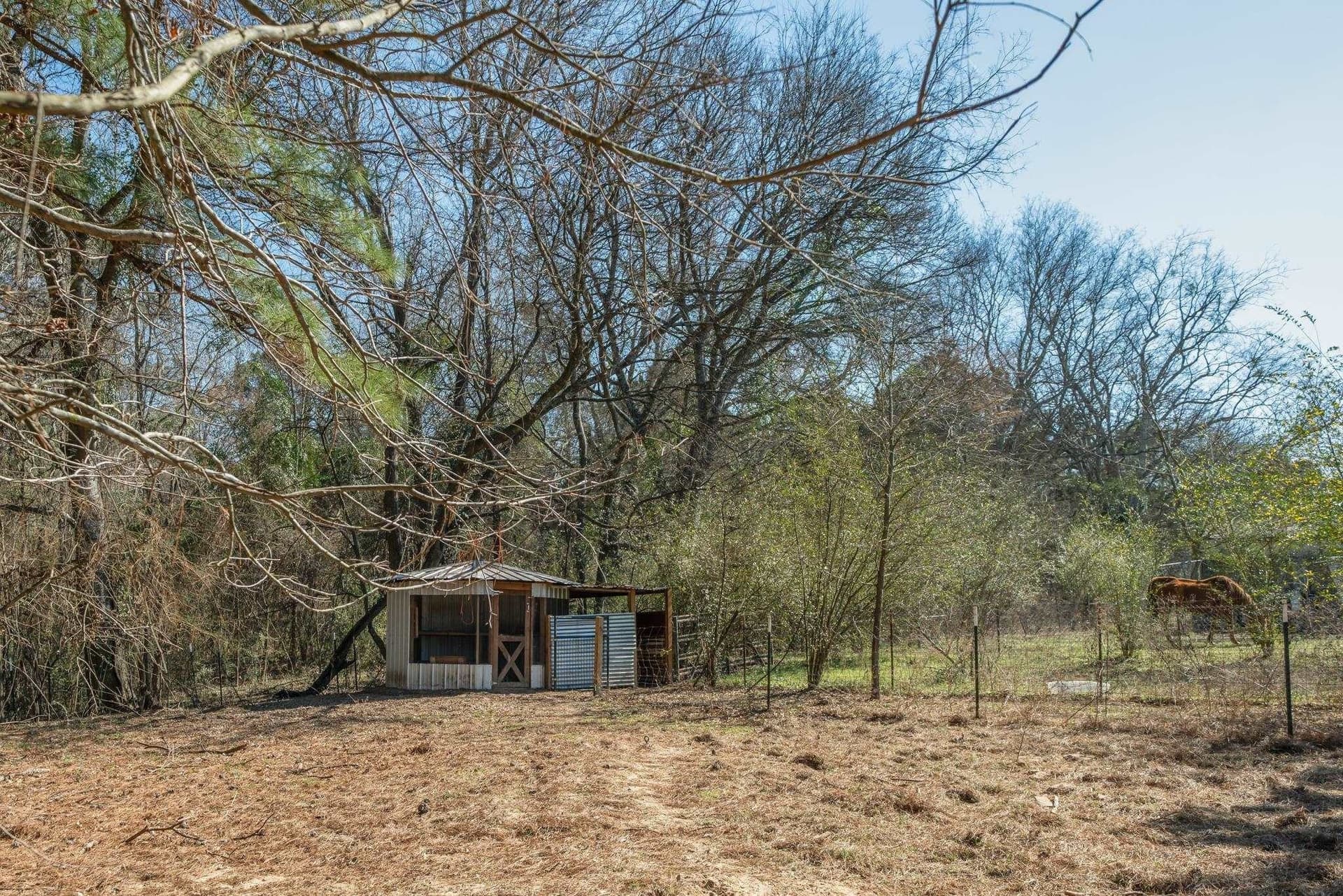 11 acres in Harrison County - photo 12