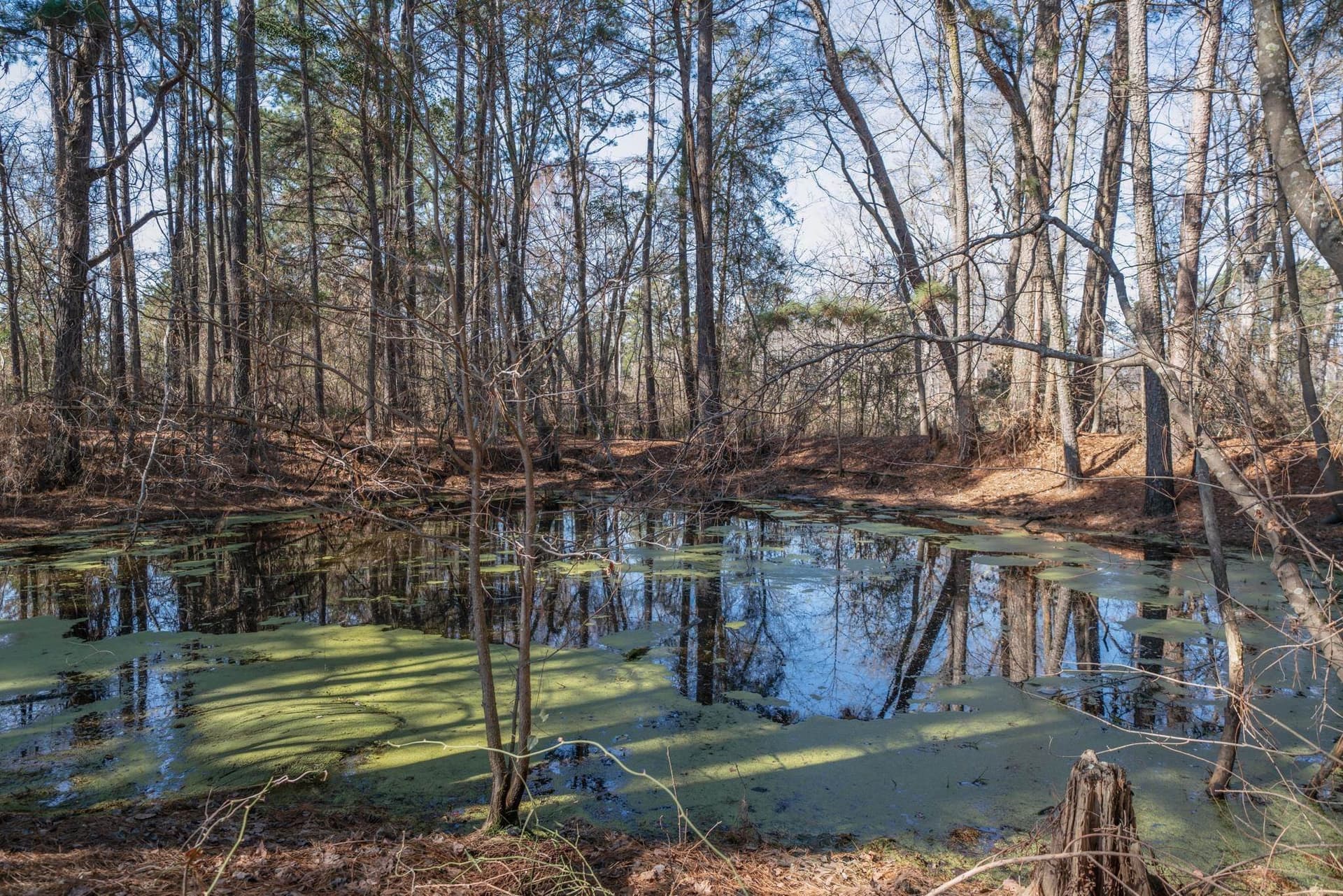 11 acres in Harrison County - photo 28