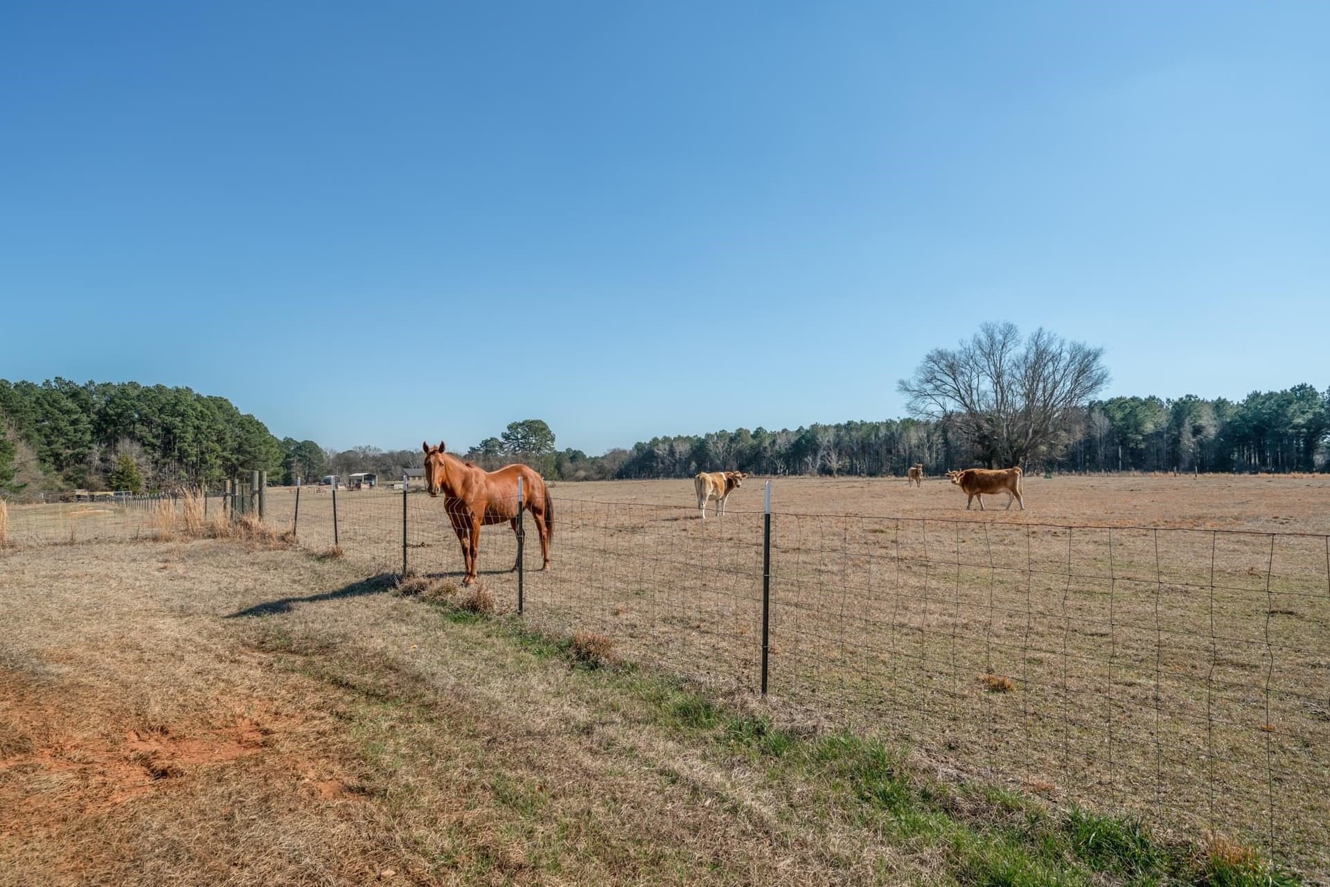 11 acres in Harrison County - photo 30
