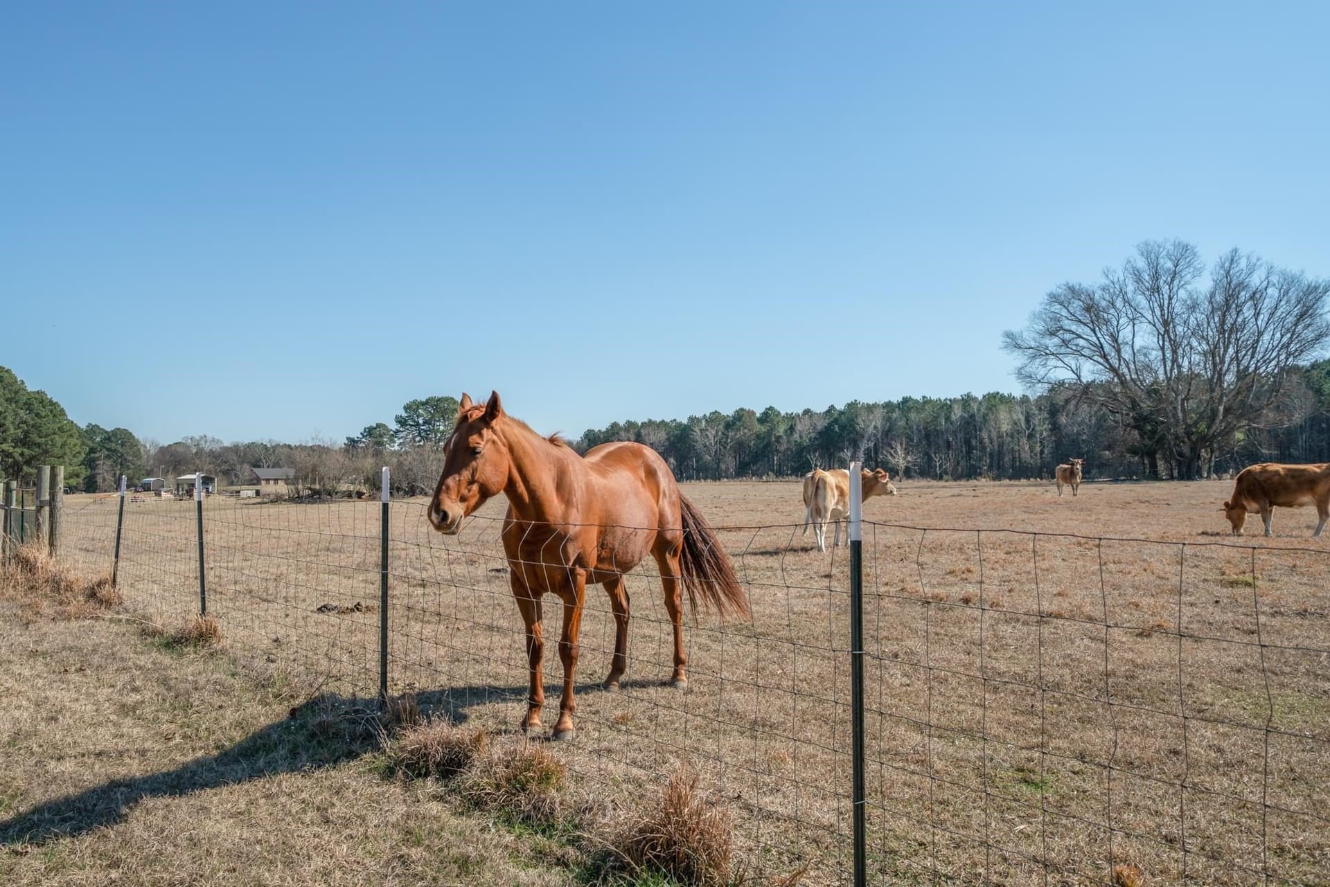 11 acres in Harrison County - photo 31