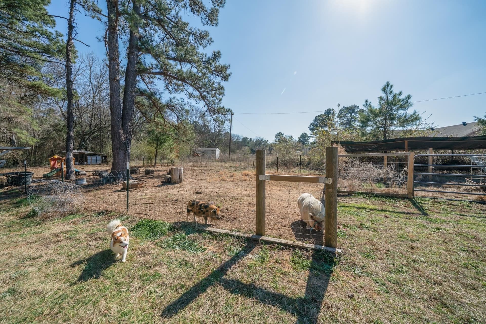 11 acres in Harrison County - photo 26