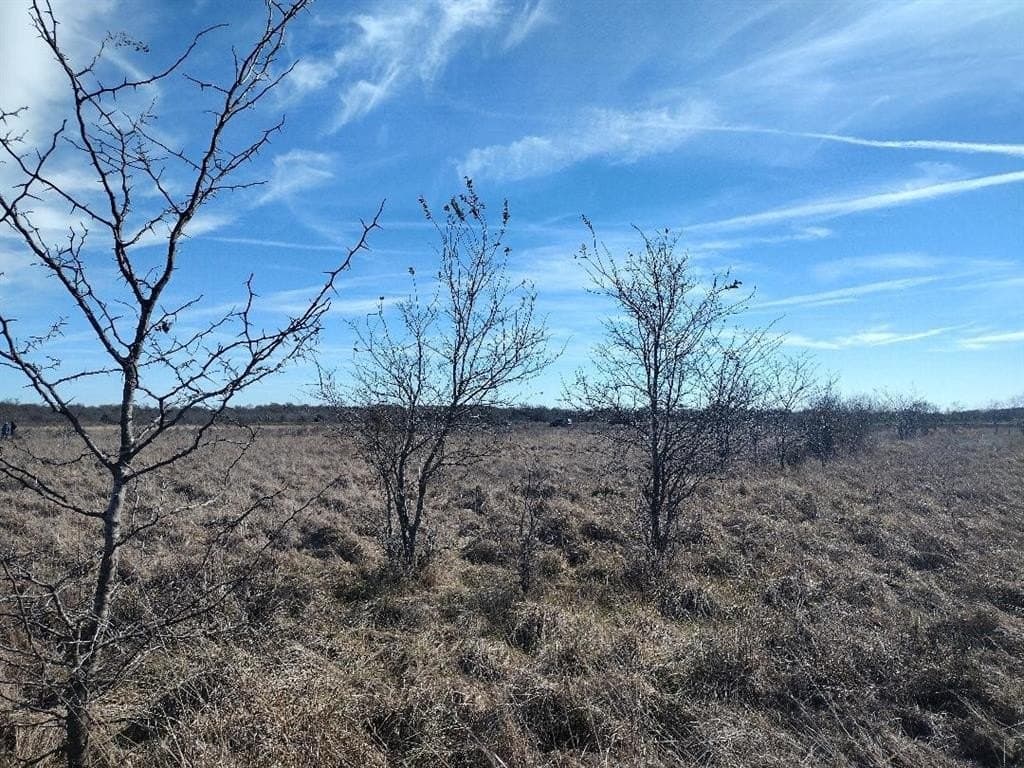 5.01 acres in Van Zandt County - photo 10