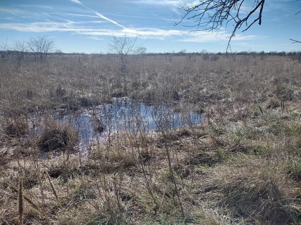 5.01 acres in Van Zandt County - photo 15