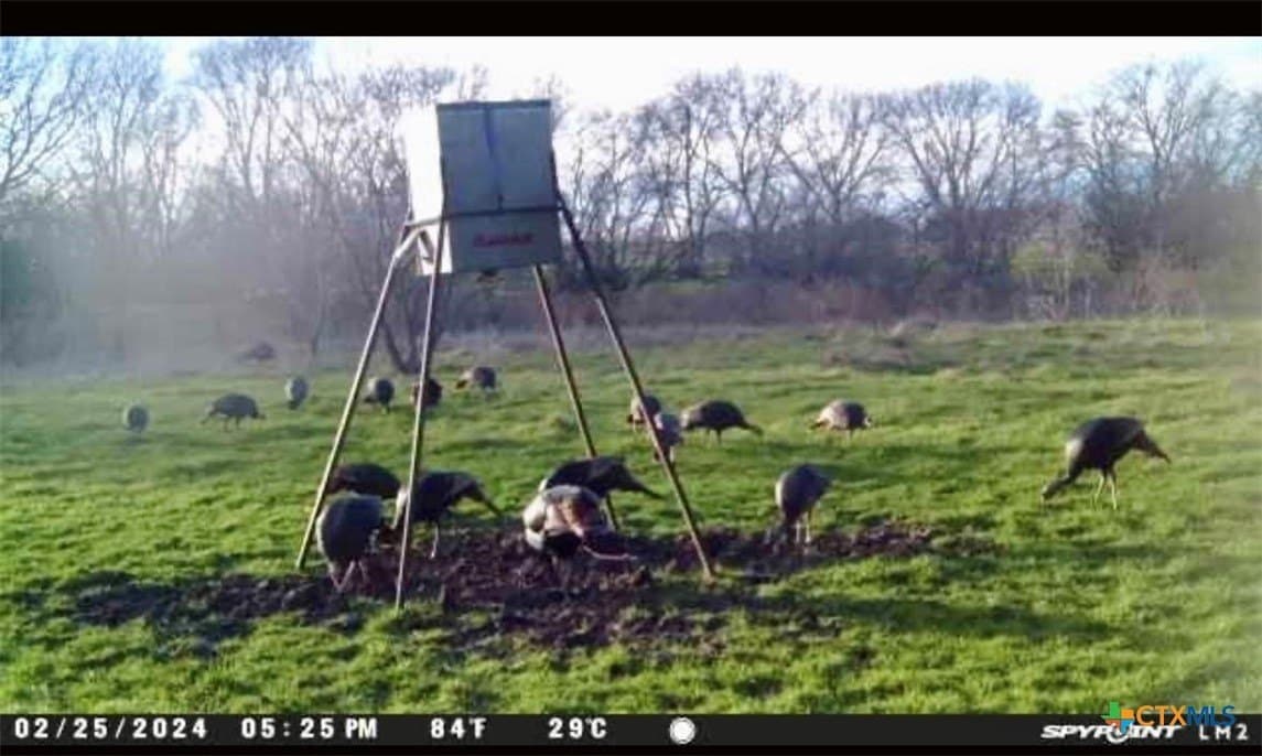 100.49 acres in McLennan County - photo 38