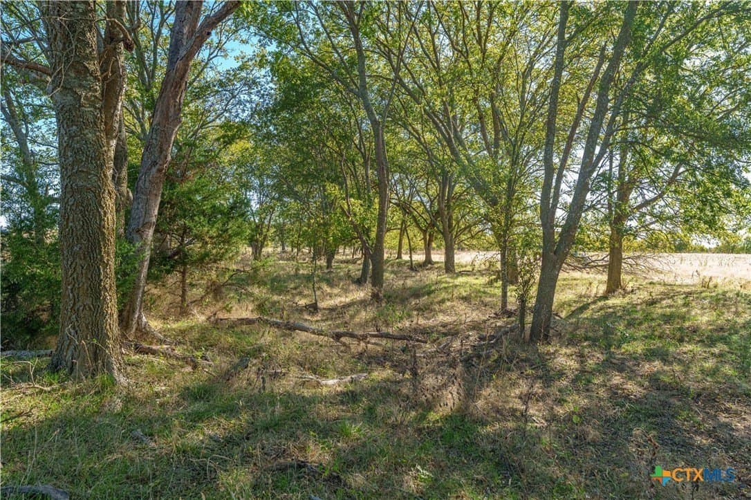 100.49 acres in McLennan County - photo 3
