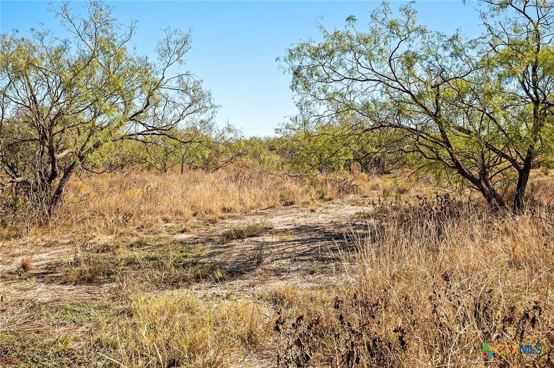 64.96 acres in Bell County - photo 9