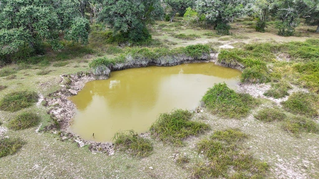 102 acres in Texas County - photo 50