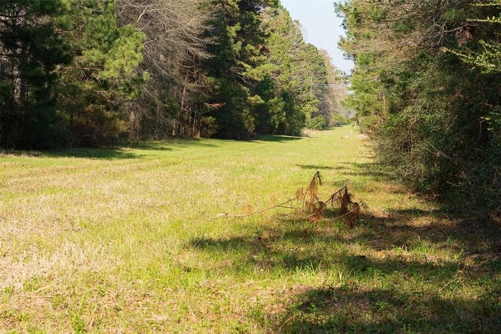 96.35 acres in Cherokee County - photo 18