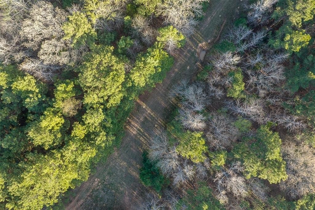 96.35 acres in Cherokee County - photo 11