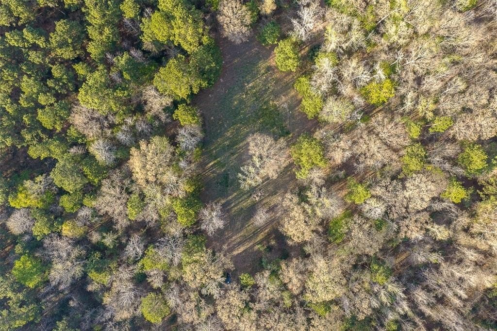 96.35 acres in Cherokee County - photo 5
