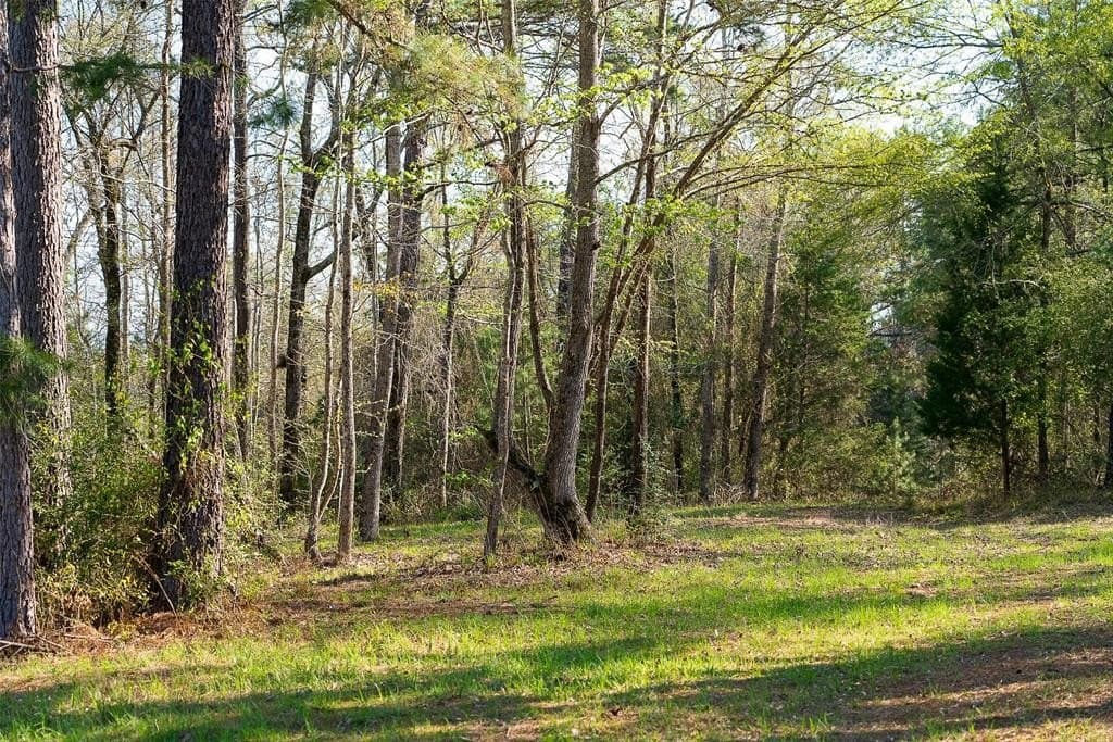 96.35 acres in Cherokee County - photo 24