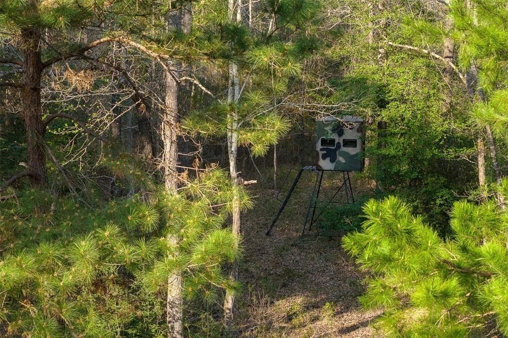 96.35 acres in Cherokee County - photo 9