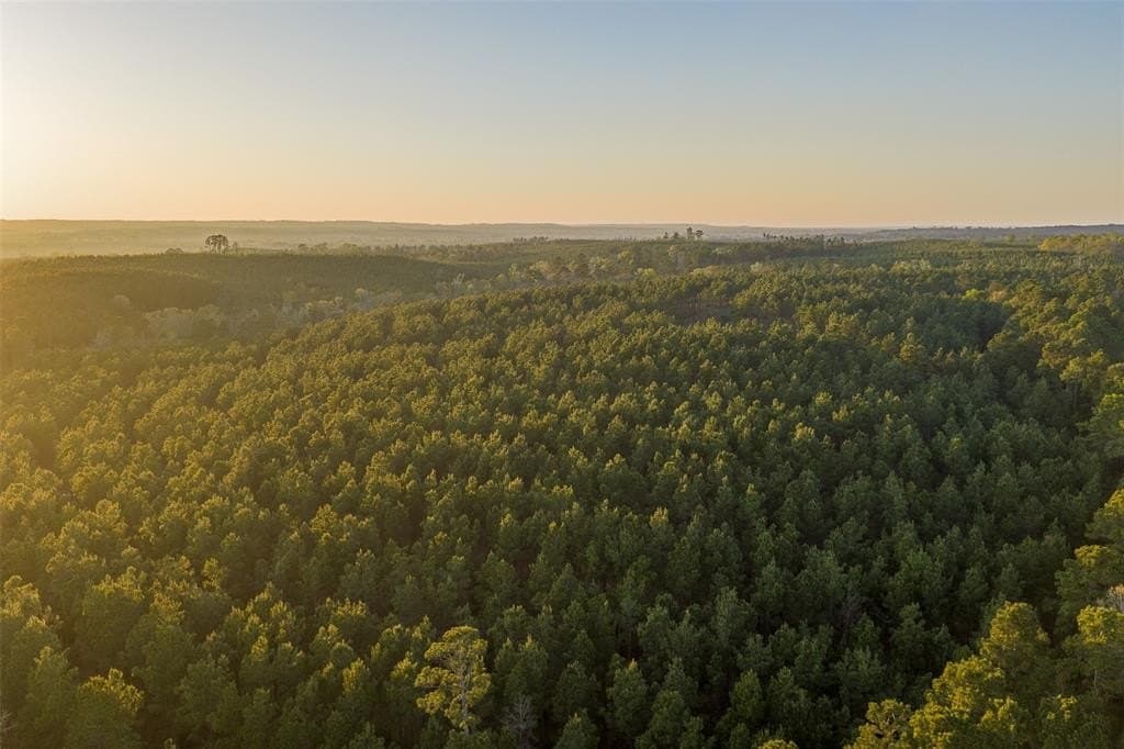 96.35 acres in Cherokee County - photo 38