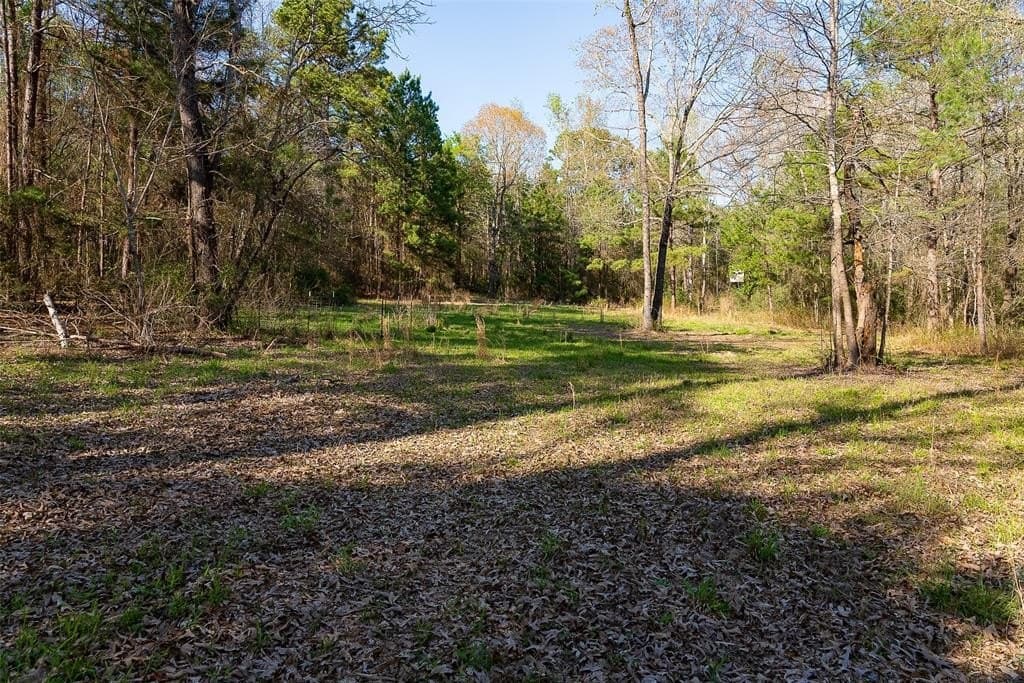 96.35 acres in Cherokee County - photo 6