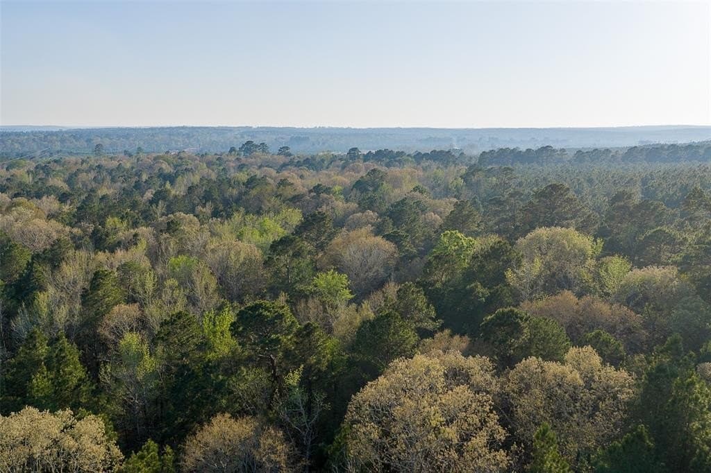 96.35 acres in Cherokee County - photo 37