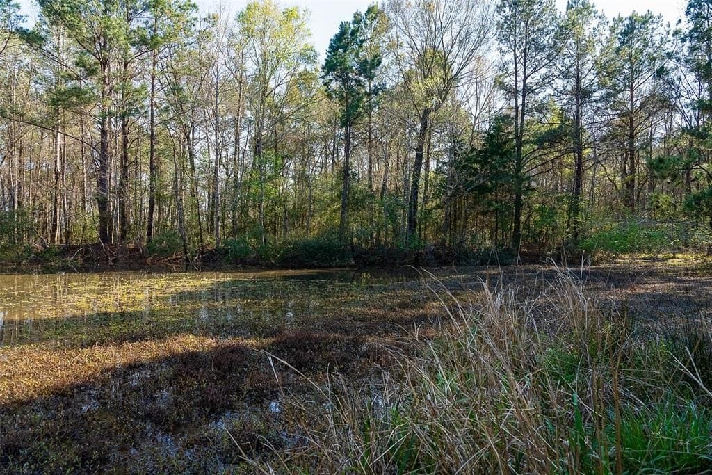 96.35 acres in Cherokee County - photo 35