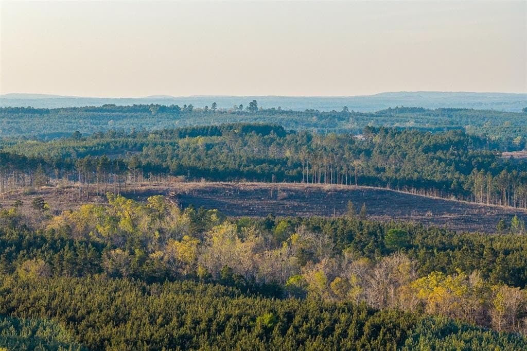 96.35 acres in Cherokee County - photo 40