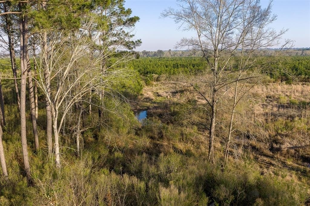 96.35 acres in Cherokee County - photo 4