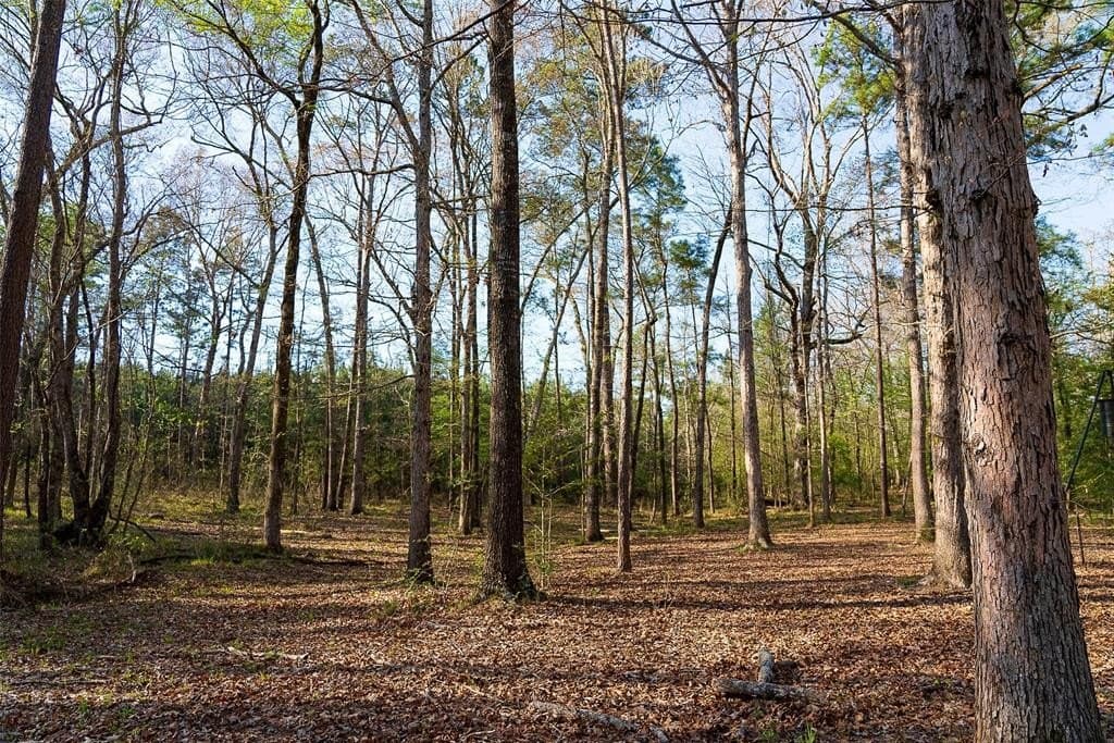 96.35 acres in Cherokee County - photo 12