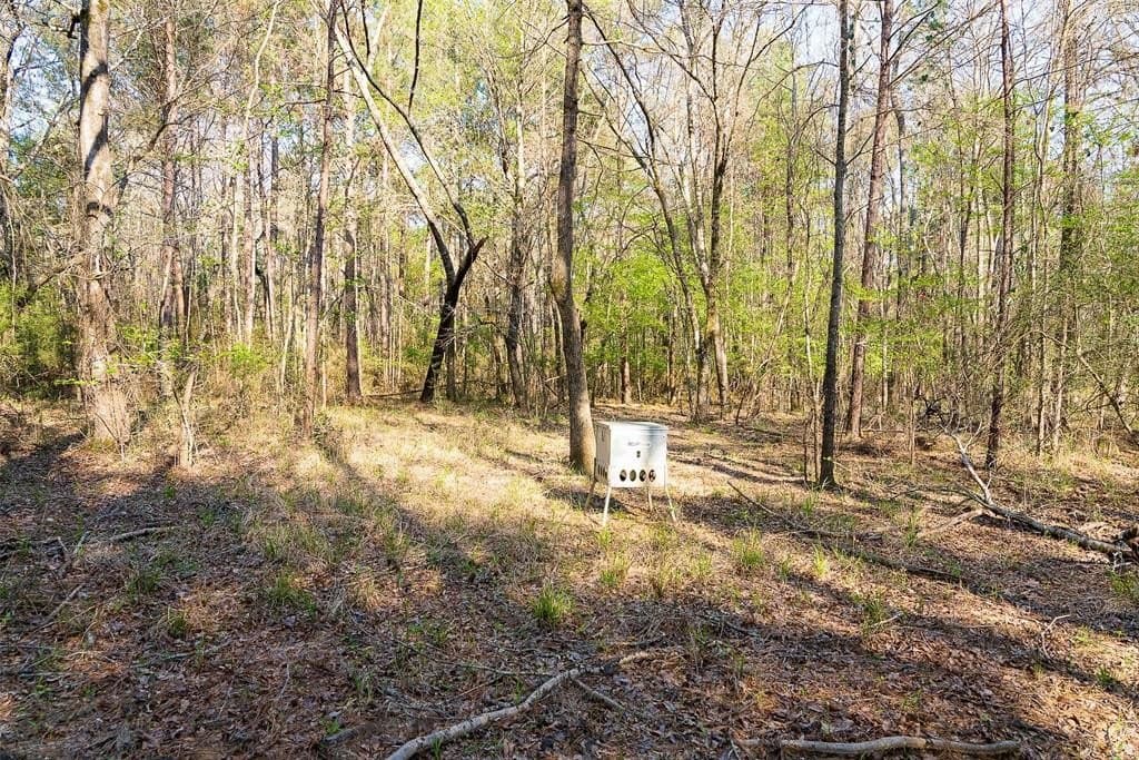 96.35 acres in Cherokee County - photo 25
