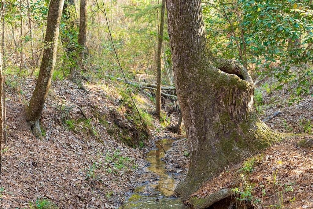 96.35 acres in Cherokee County - photo 27