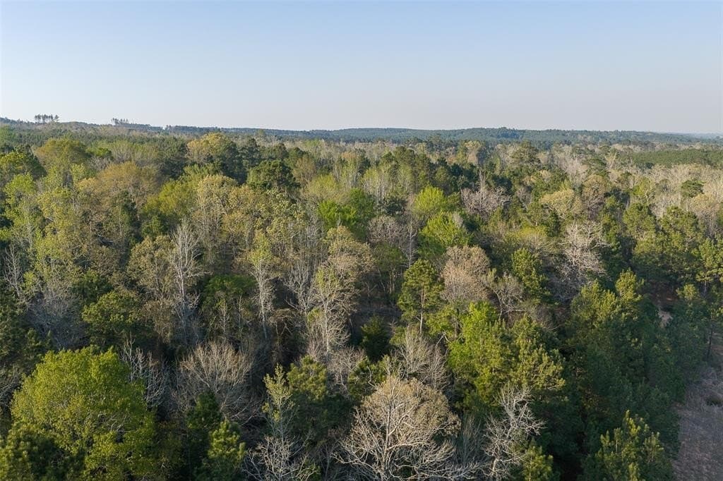 96.35 acres in Cherokee County - photo 10