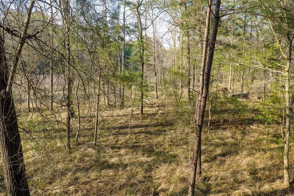 96.35 acres in Cherokee County - photo 32