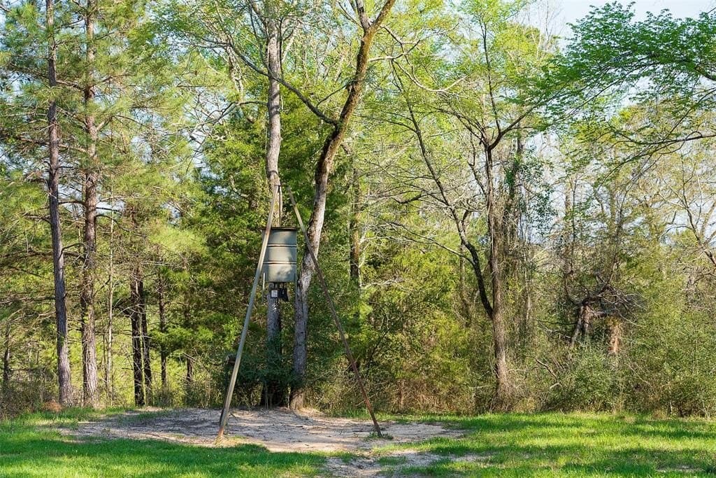 96.35 acres in Cherokee County - photo 23