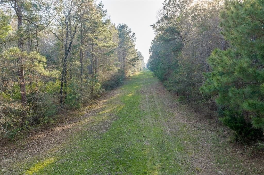 96.35 acres in Cherokee County - photo 36