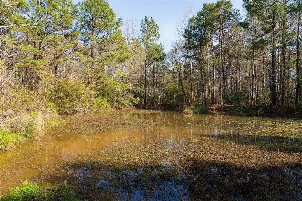 96.35 acres in Cherokee County - photo 16