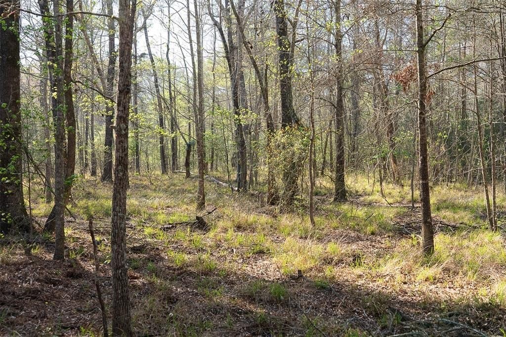 96.35 acres in Cherokee County - photo 22