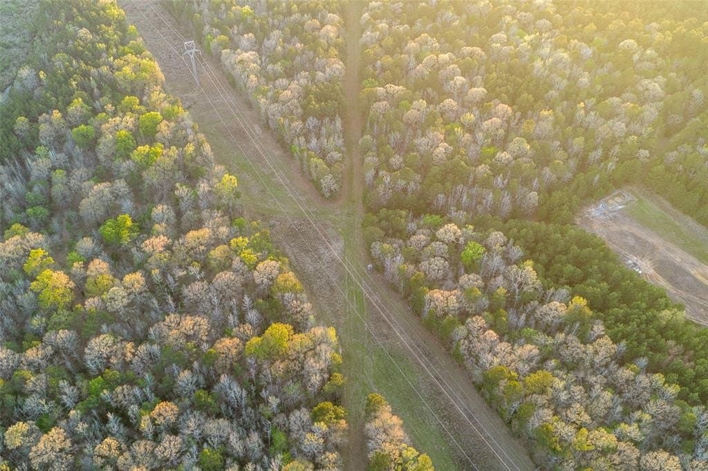 96.35 acres in Cherokee County - photo 30