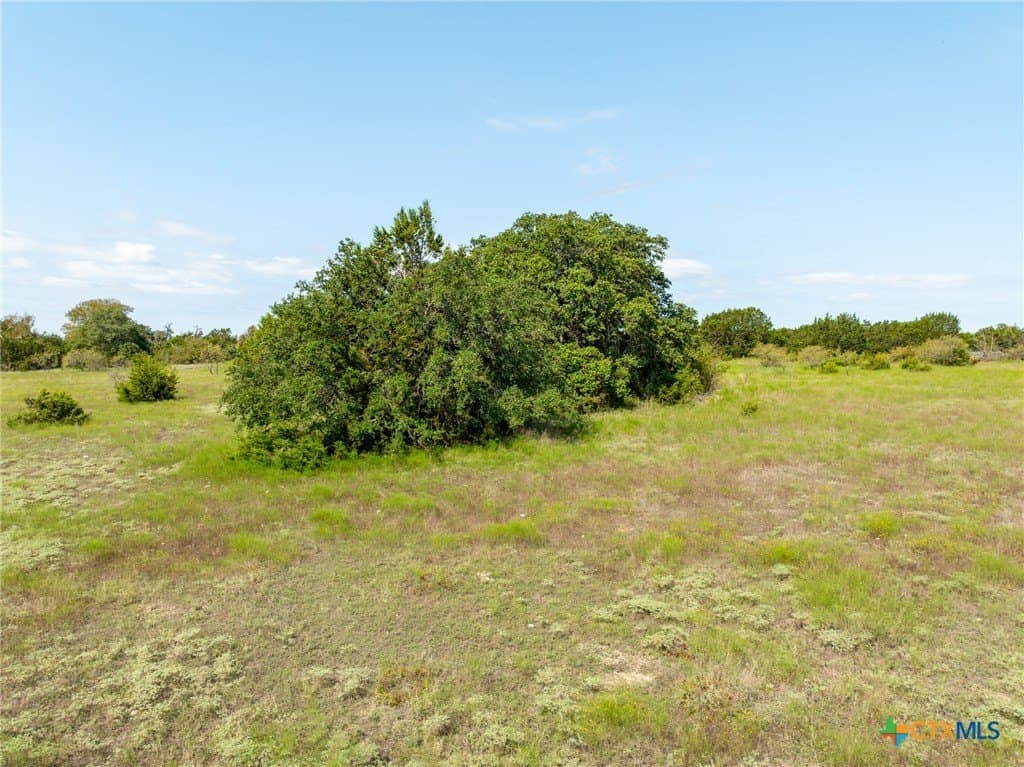 24 acres in Coryell County - photo 12