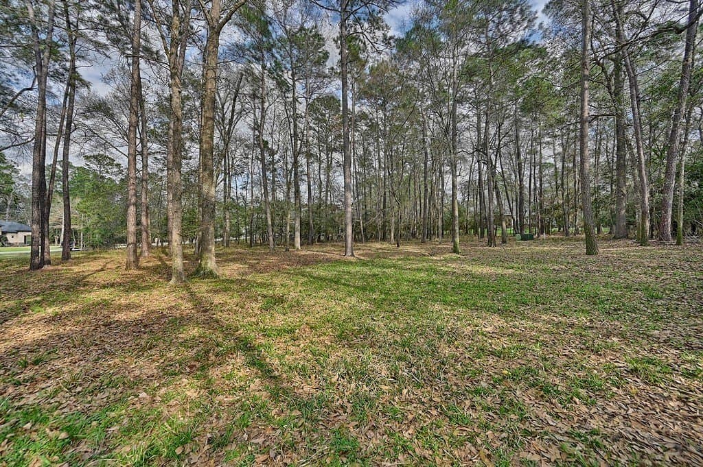 1.37 acres in Montgomery County - photo 29