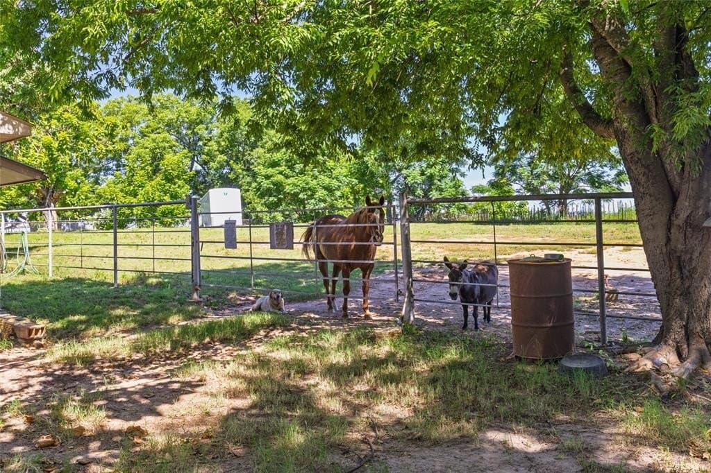 13.98 acres in Wood County - photo 24