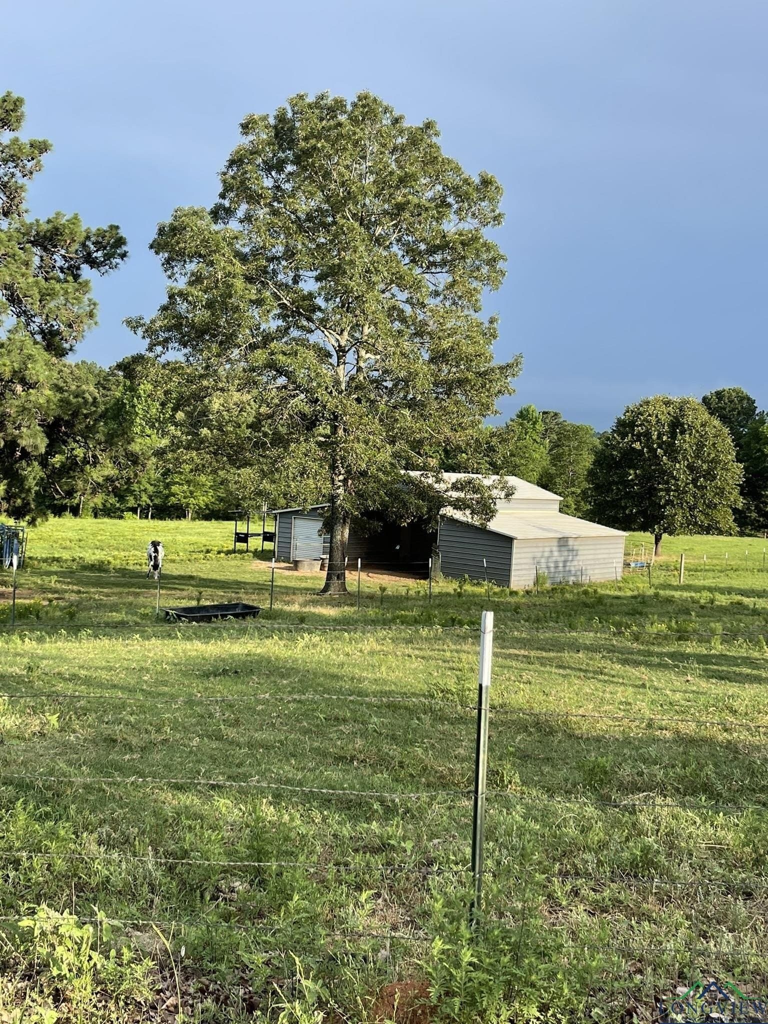 62.19 acres in Upshur County - photo 30