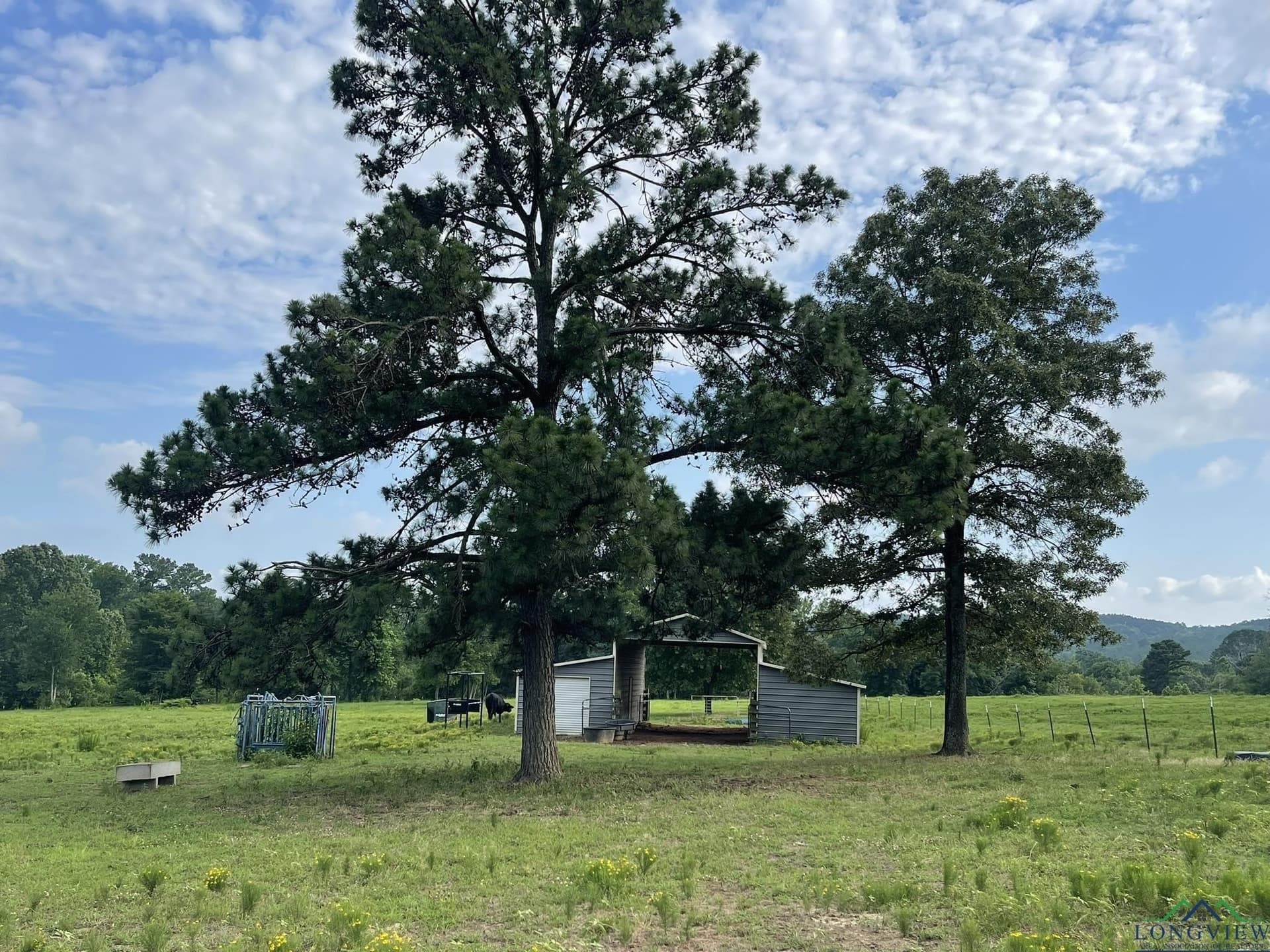 62.19 acres in Upshur County - photo 46