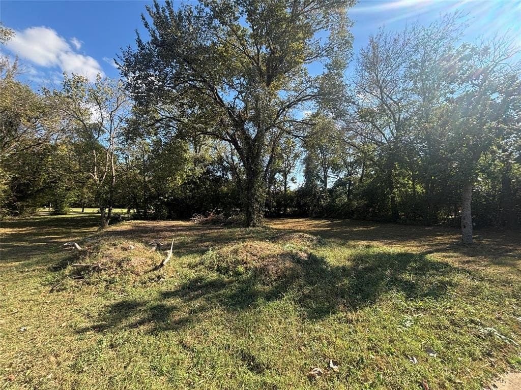 0.08 acres in Dallas County - photo 2