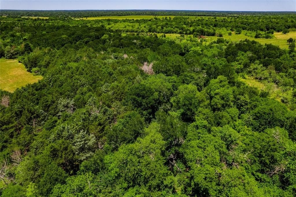 125 acres in Kaufman County - photo 13