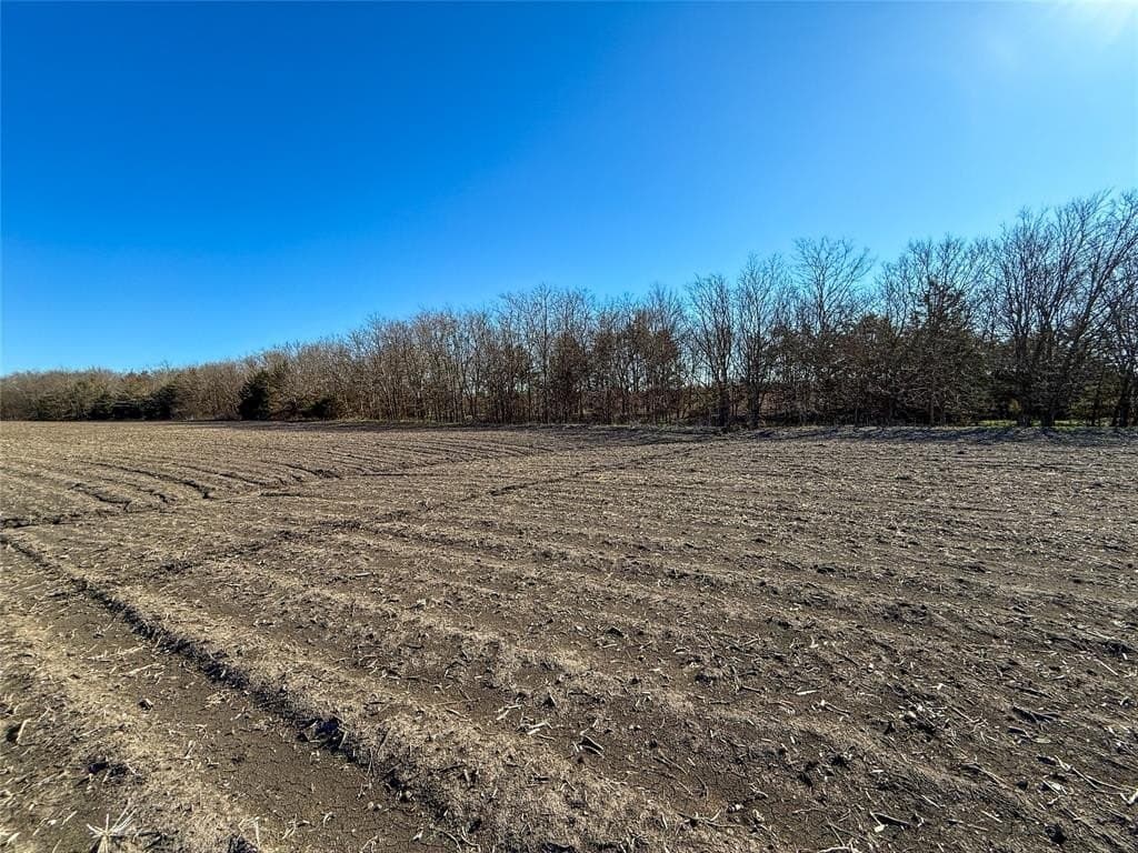 46.03 acres in Delta County - photo 12