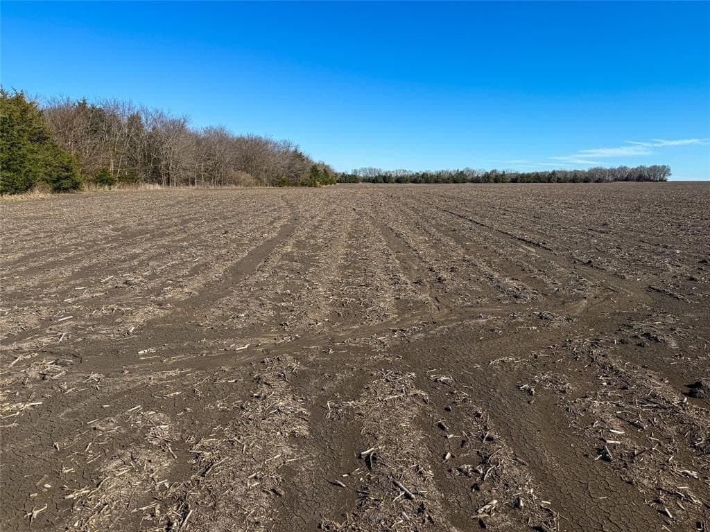 46.03 acres in Delta County - photo 4