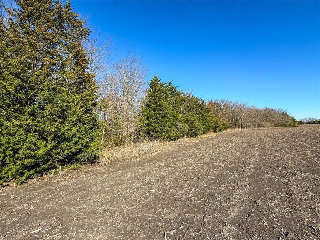46.03 acres in Delta County - photo 6