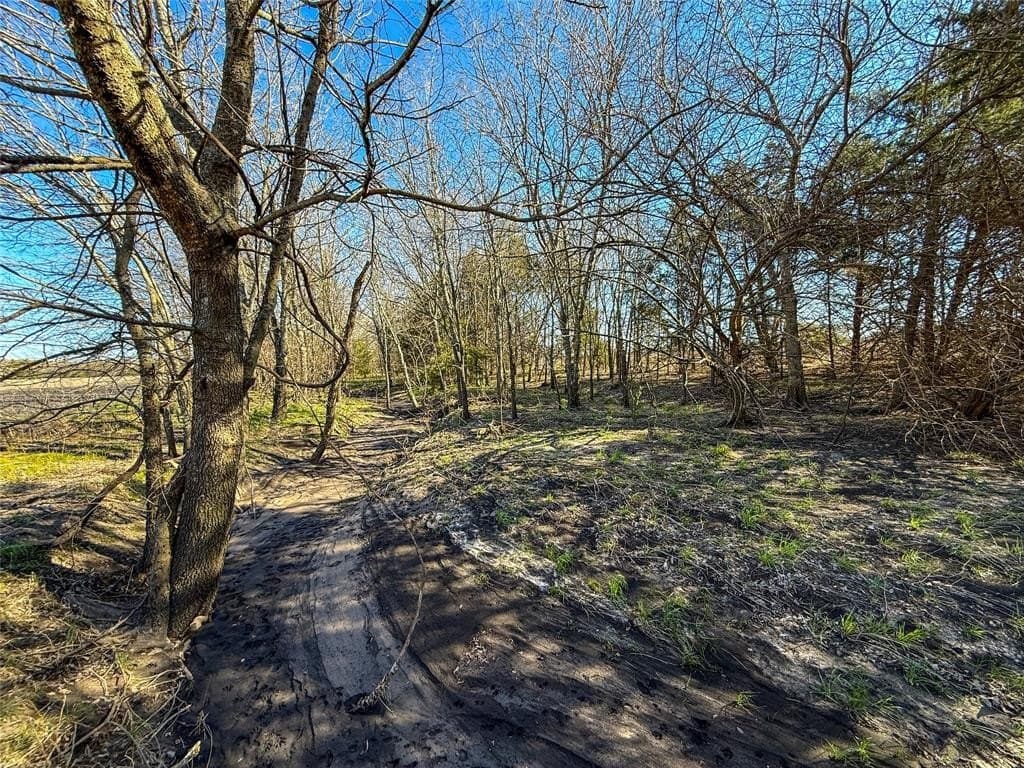 46.03 acres in Delta County - photo 10
