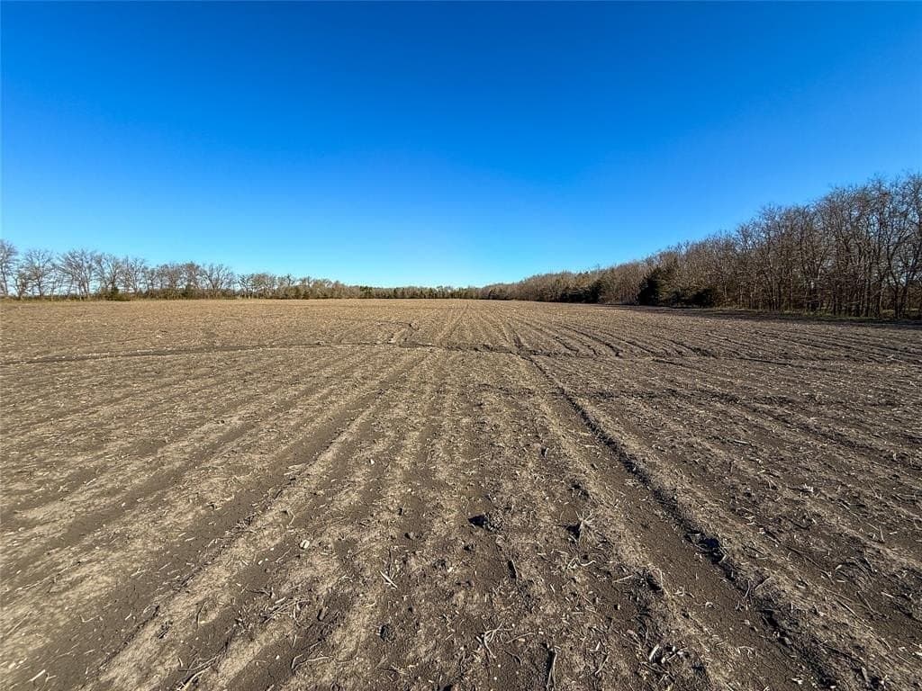 46.03 acres in Delta County - photo 11