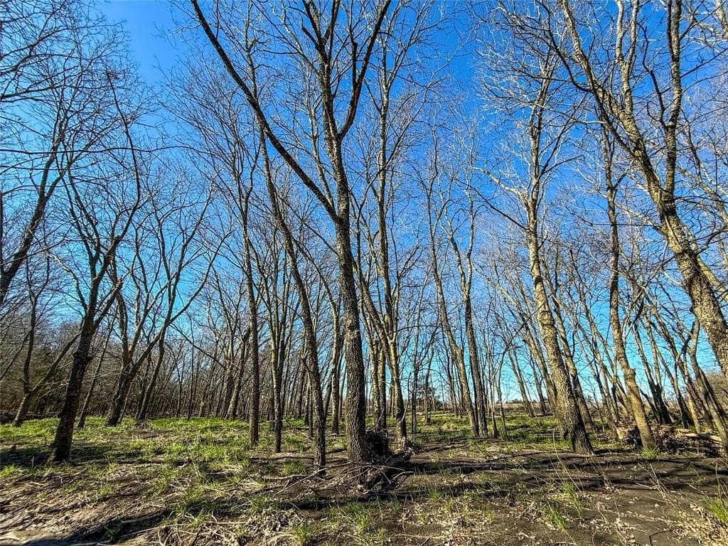 46.03 acres in Delta County - photo 7