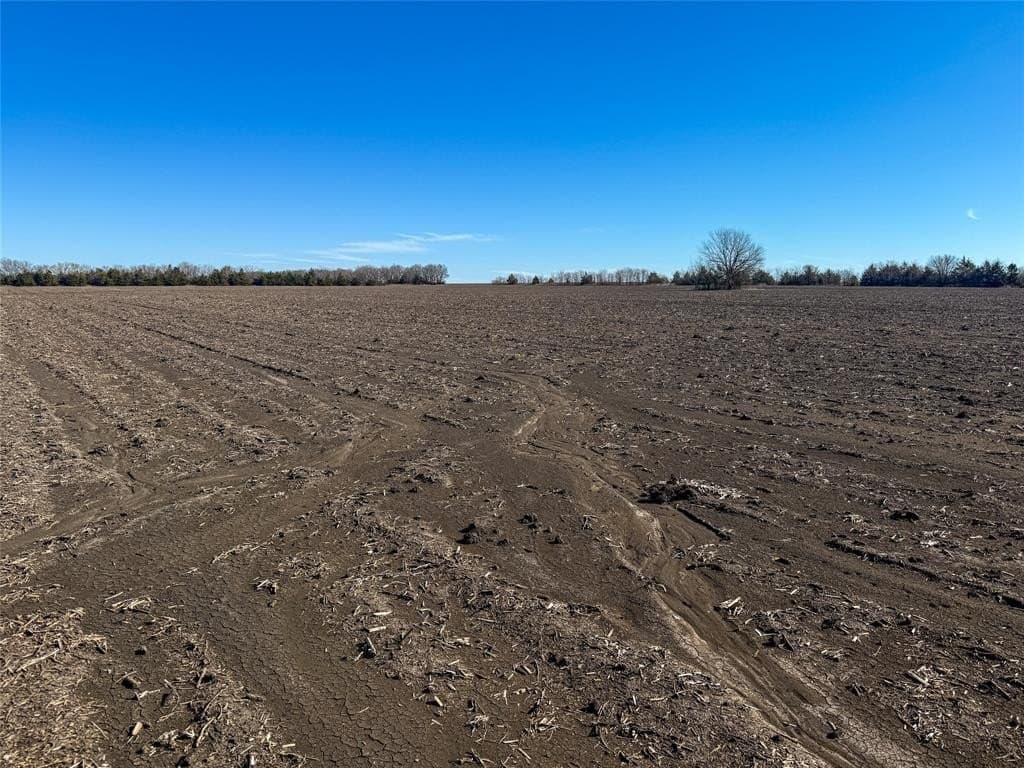 46.03 acres in Delta County - photo 5