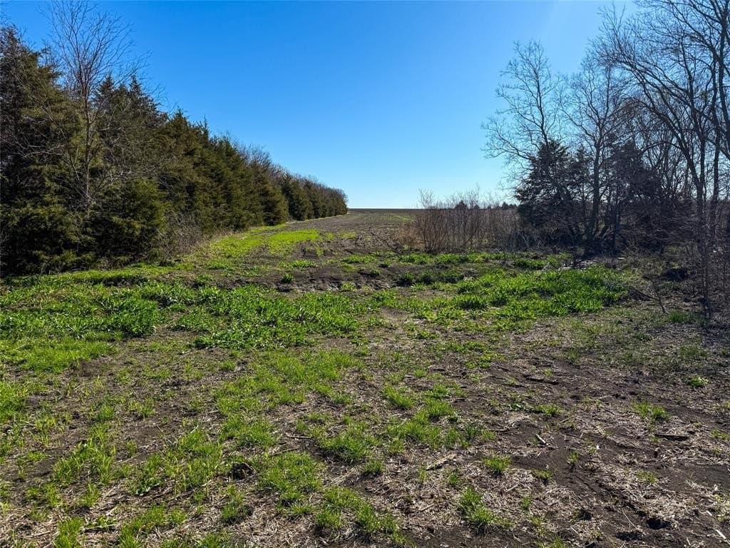 46.03 acres in Delta County - photo 14