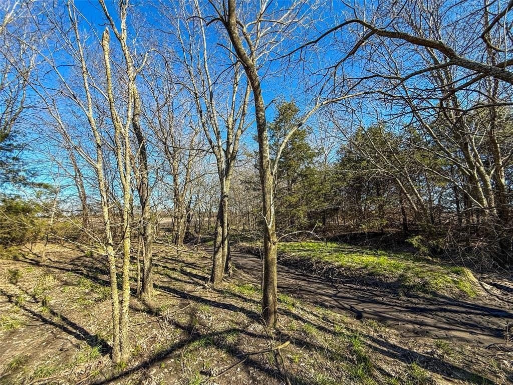 46.03 acres in Delta County - photo 9